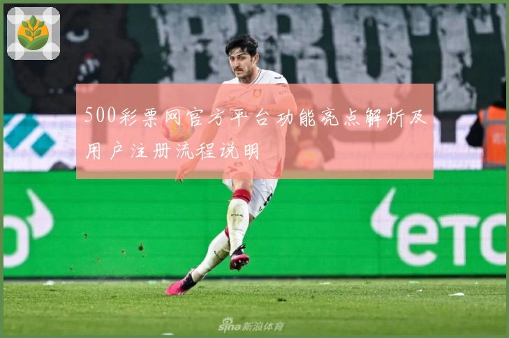 500彩票网官方平台功能亮点解析及用户注册流程说明